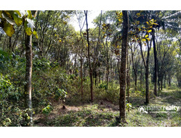 Well maintained 2 acre land for sale near Nadavayal @ 23lakh/acre