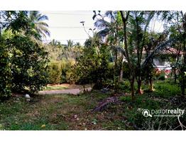 Well maintained 2 acre land for sale near Nadavayal @ 23lakh/acre