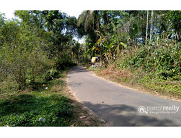 Well maintained 2 acre land for sale near Nadavayal @ 23lakh/acre