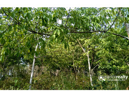 Well demanding 40cent land for sale near kenichira @ 60000/cent