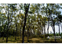 Well maintained 1 acre land for sale in Poothadi @ 35lakh