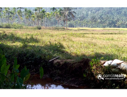 Excellent 4.70 acre investment purpose land in kurukkanmoola, near Kattikulam