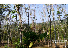 Excellent 4.70 acre investment purpose land in kurukkanmoola, near Kattikulam