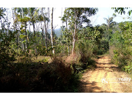 Excellent 4.70 acre investment purpose land in kurukkanmoola, near Kattikulam