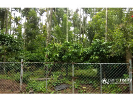 Well demanding 1 acre land for sale in Mullankolly @ 50 lakh