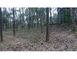 50 cent residential plot for sale - Kidangoor