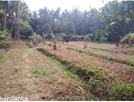 Kerala Traditional home with Land for Sale Near Meppayur Town