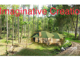 50cent land for sale in panayambamkunnu, bathery @ 15lakh