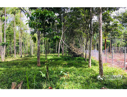 50cent land for sale in panayambamkunnu, bathery @ 15lakh