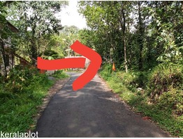 50 Cent Plot for sale in Adimali - Kerala.