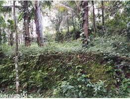 50 Cent Plot for sale in Adimali - Kerala.