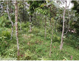 50 Cent Plot for sale in Adimali - Kerala.