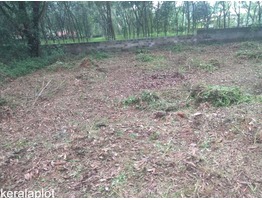 20 CENT LAND SALE AT ERNAKULAM  THENGODE