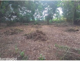 20 CENT LAND SALE AT ERNAKULAM  THENGODE