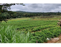 3.55 acre Agriculture property available near Pulpally @ 45lakh…..