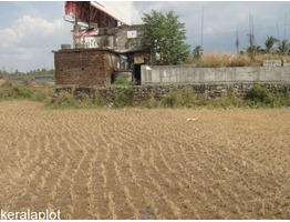 1.22 Acre Agricultural Land For Sale at  Vadakkencherry