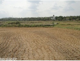 1.22 Acre Agricultural Land For Sale at  Vadakkencherry