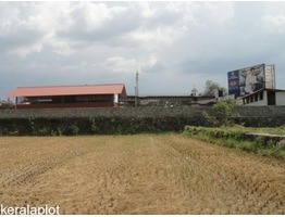 1.22 Acre Agricultural Land For Sale at  Vadakkencherry