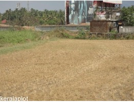 1.22 Acre Agricultural Land For Sale at  Vadakkencherry