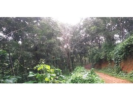 House for sale in Kasaragod district with 9 acres of lucrative agricultural land