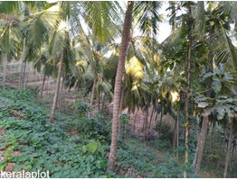 House for sale in Kasaragod district with 9 acres of lucrative agricultural land