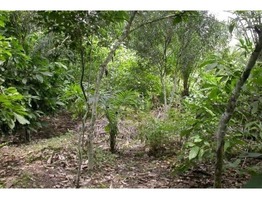 1 ACRE FARM LAND FOR SALE AT MULLAYAR ESTATE, KUMILY, KERALA