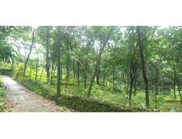 2 Acre Rubber Estate at Malippara, Kothamangalam