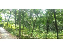 2 Acre Rubber Estate at Malippara, Kothamangalam