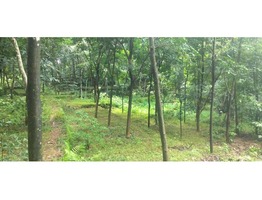 2 Acre Rubber Estate at Malippara, Kothamangalam