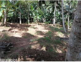 11cents Residential Plot @ Nettayam, Trivandrum