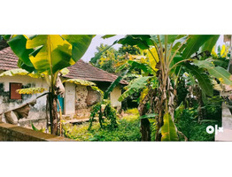 8.1cent land for sale in  kadungalloor, Ernakulam dis .