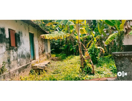 8.1cent land for sale in  kadungalloor, Ernakulam dis .