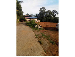 4 Plots For Sale at Maroor , Pathanamthitta