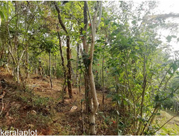 65 CENT LAND SALE AT IDUKKI DIS,