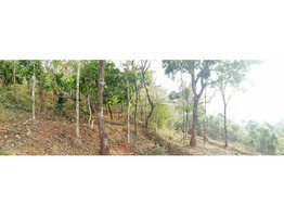 65 CENT LAND SALE AT IDUKKI DIS,