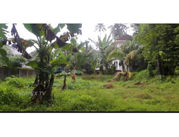 8 cent plot sale at changanassery, kottayam