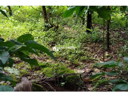 1 acre land for sale near Padinjarathara @ 50000 /cent....