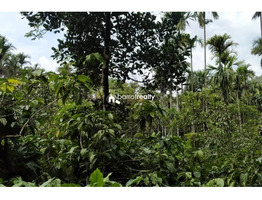 1 acre land for sale near Padinjarathara @ 50000 /cent....