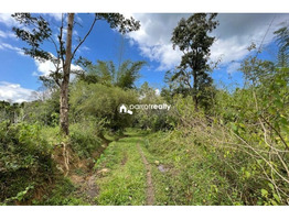 96 cent Resort purpose land for sale in Pakkam near Pulpally...