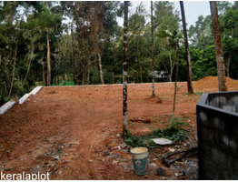 Residential Land for sale at Pukkattupady, Ernakulam