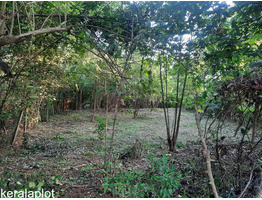 40 cents plot  for sale Manisseri  ,Palakkad