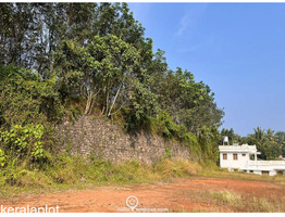 Residential Land for Sale in Thammanimattom, Kolenchery, Ernakulam