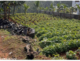 Residential Land for Sale in Thammanimattom, Kolenchery, Ernakulam