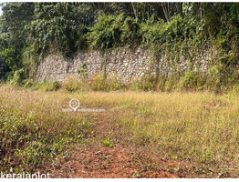 Residential Land for Sale in Thammanimattom, Kolenchery, Ernakulam