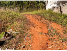 Residential Land for Sale in Thammanimattom, Kolenchery, Ernakulam