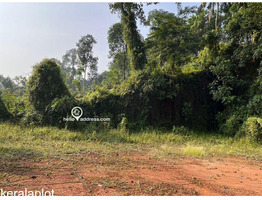 Residential Land for Sale in Thammanimattom, Kolenchery, Ernakulam