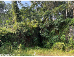 Residential Land for Sale in Thammanimattom, Kolenchery, Ernakulam