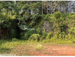 Residential Land for Sale in Thammanimattom, Kolenchery, Ernakulam