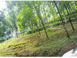 96 cent Residential Land sale at Pannimattom, Thodupuzha