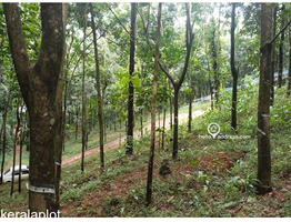 96 cent Residential Land sale at Pannimattom, Thodupuzha